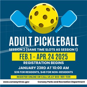 Pickleball Flyer