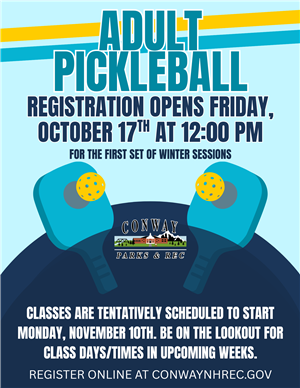 Adult Pickleball Flyer 