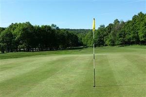 The green on a golf course with a flag in the hole.