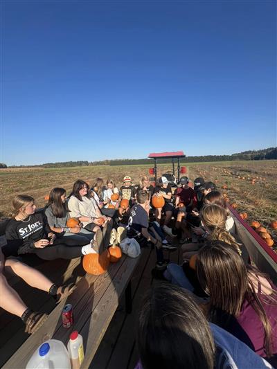 corn maize corn maize