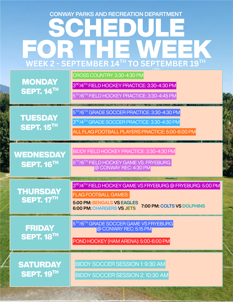newsletter