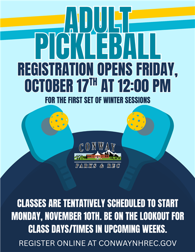 Pickleball Flyer