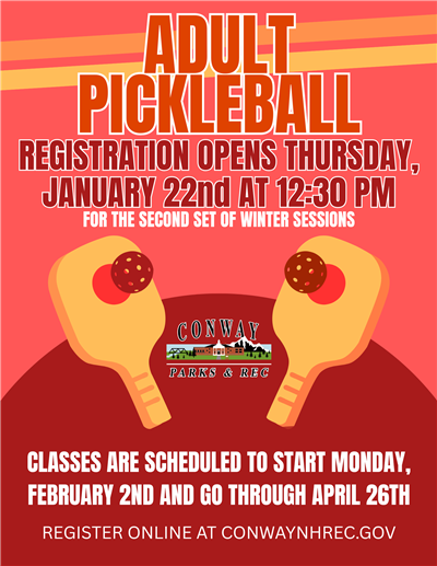 Pickleball Flyer
