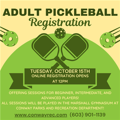 Pickleball Flyer