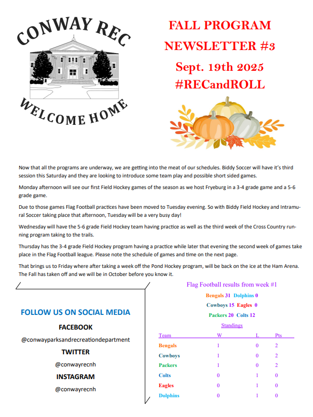 newsletter