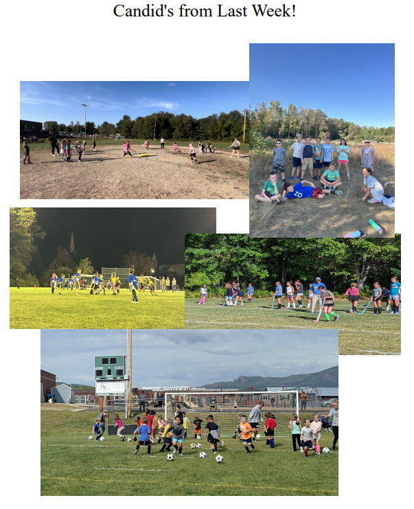 newsletter