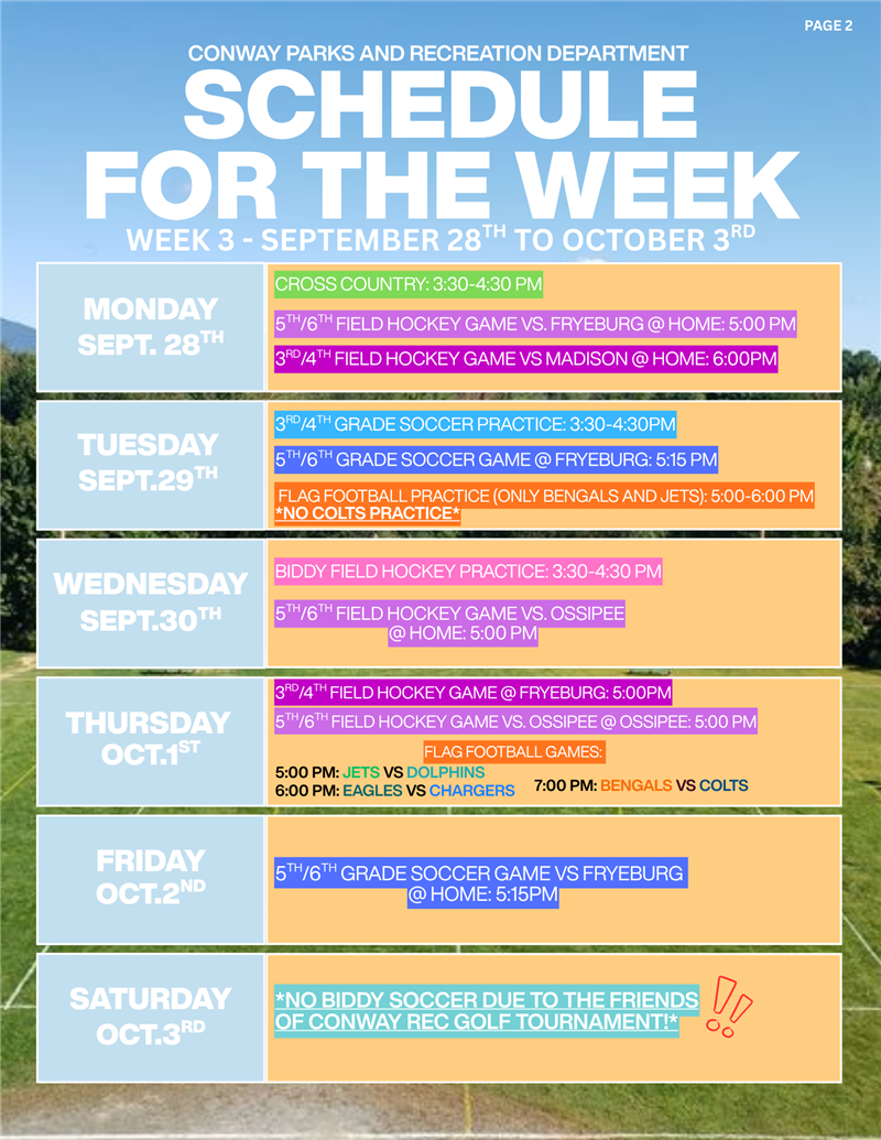 newsletter
