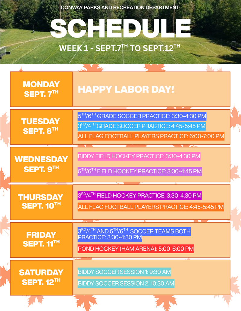 newsletter