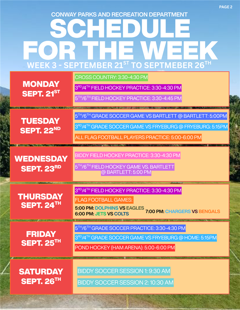 newsletter