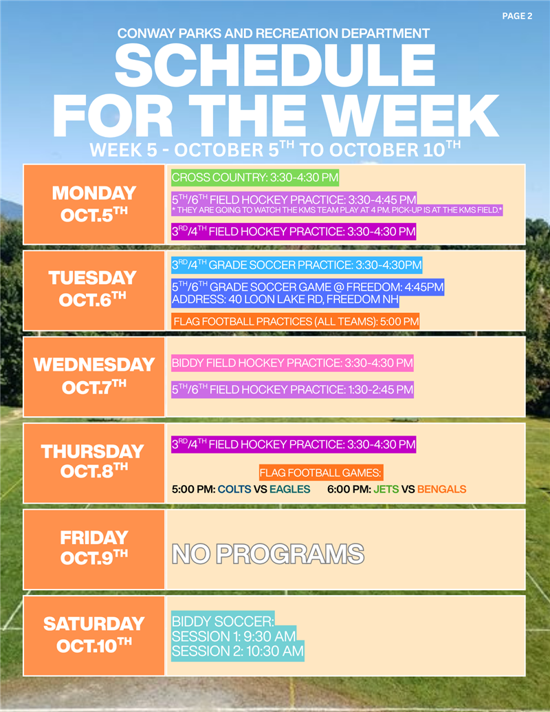 newsletter