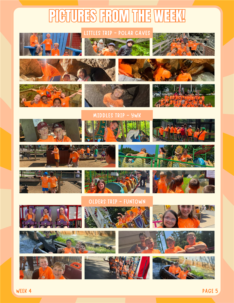newsletter