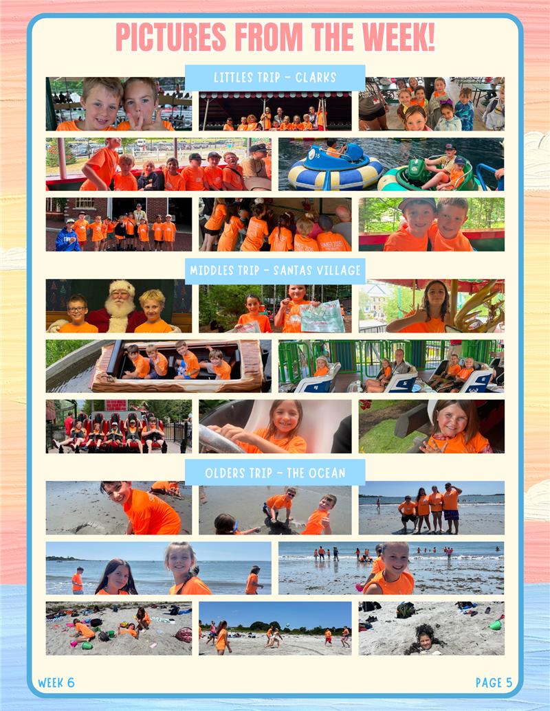 newsletter