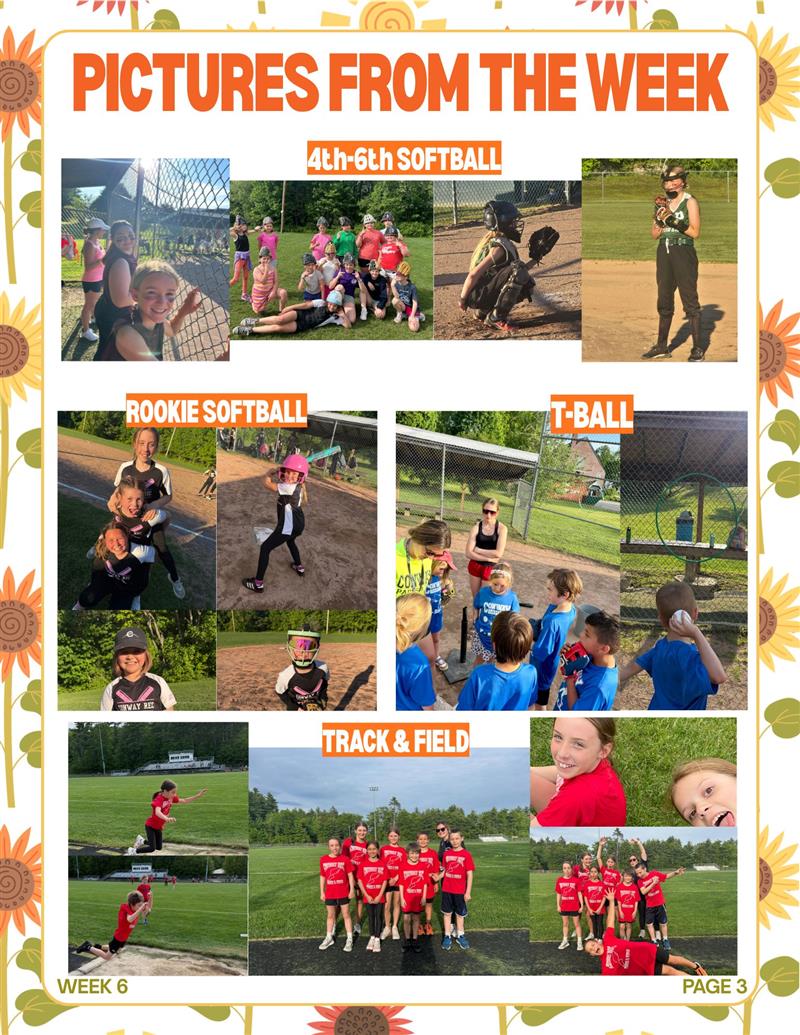 newsletter